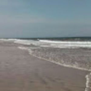 Meet your Posher, Vikki